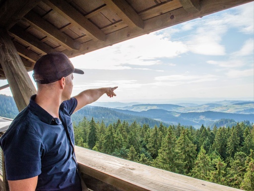 Mein persönlicher Emmentaler