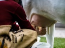 Farmer Games