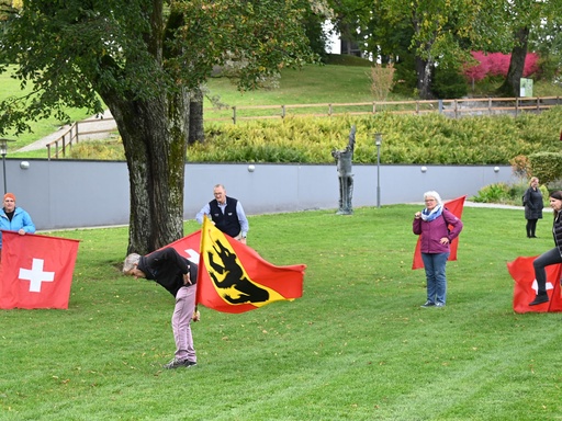 Fahnenschwingen