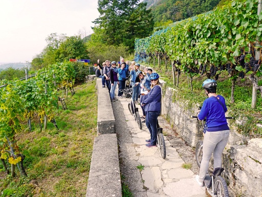 Trotti, Wein & Winzerdörfer